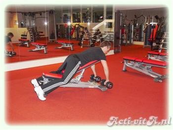 Dumbbell lying rear delt row